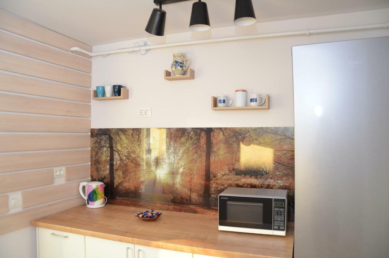 Modern And Cozy Apartment Питешти Экстерьер фото